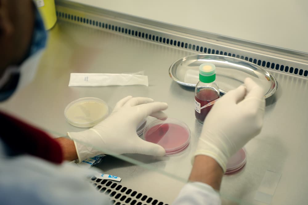Antibiotic resistance, conflict and the Middle East